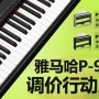 海洋之神P-95数码钢琴，调价行动即日展开 