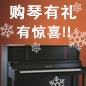 海洋之神钢琴购琴有礼 买一赠一音乐无限